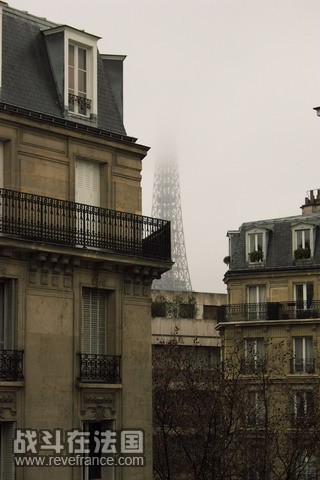 paris178_resize.jpg