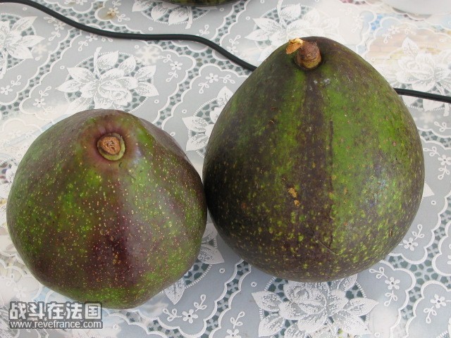 还是AVOCAT