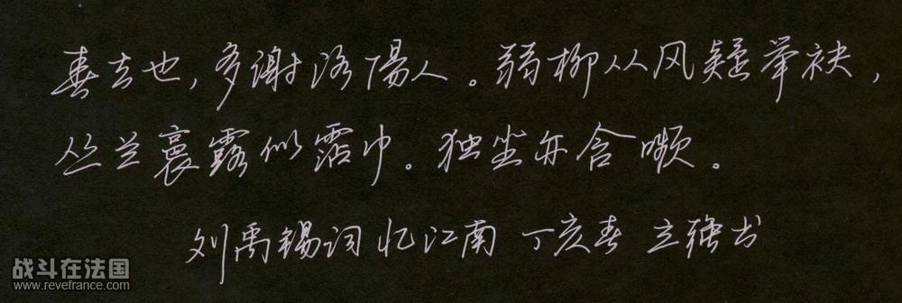xingshu.JPG