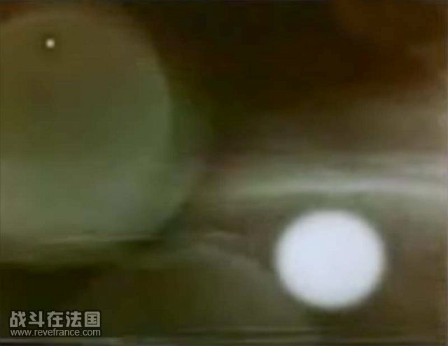 010.jpg