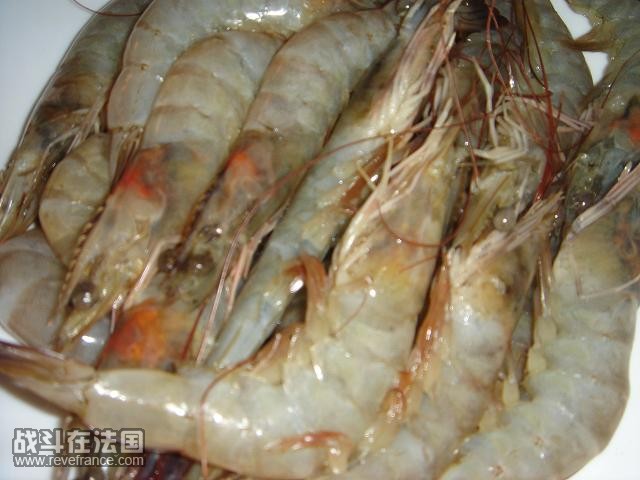 大虾.JPG