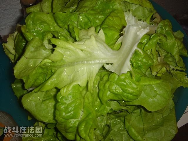 生菜.JPG