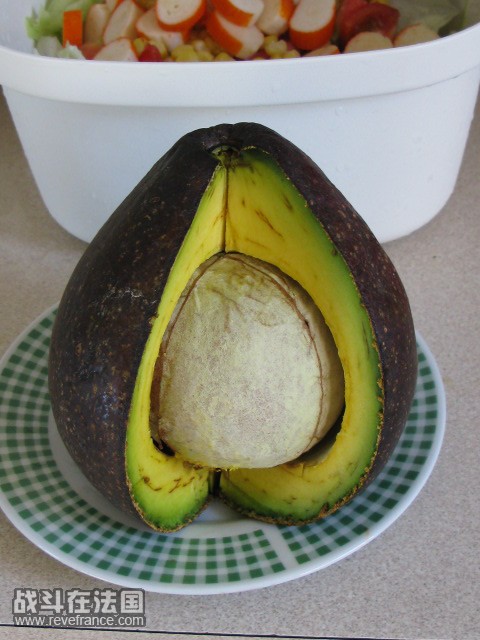 爱上AVOCAT~~~