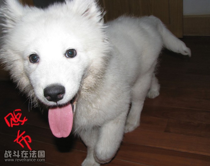 变成.jpg