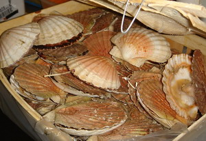 DSC04788.jpg