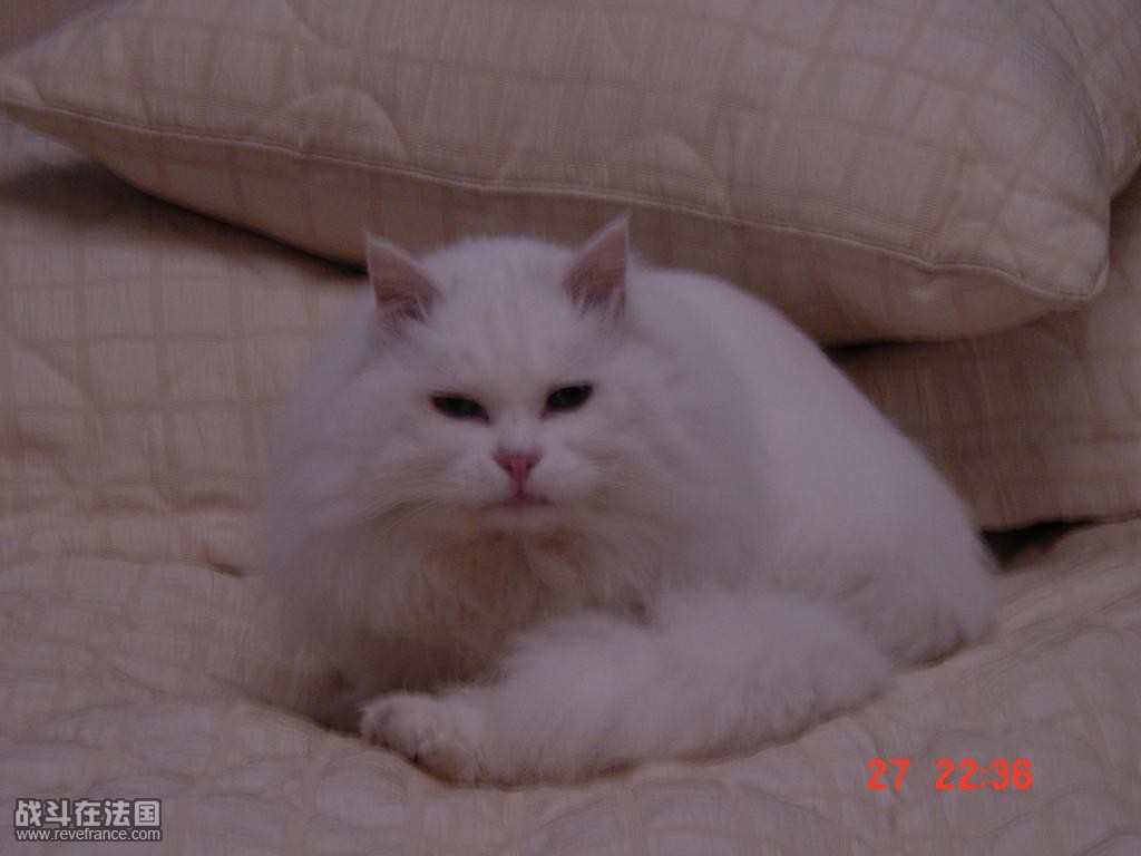 DSC00082.JPG