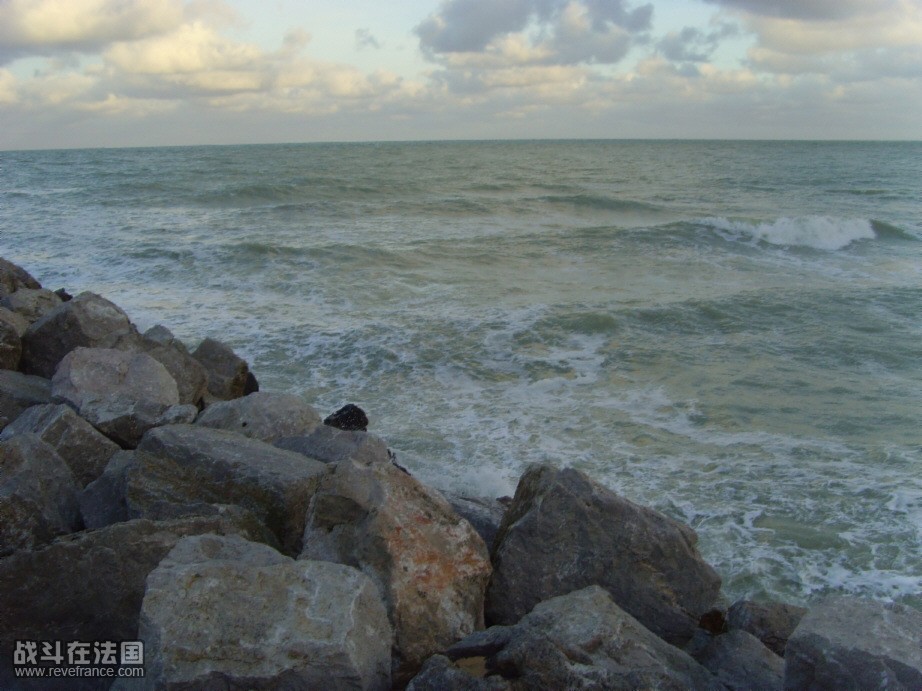 SNV31445.JPG