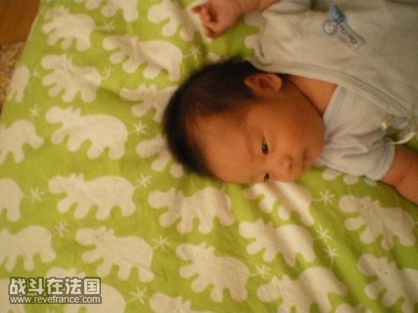 IMGP0445.jpg