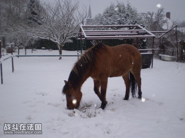 P1050031.JPG
