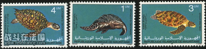 mauritania_509-11.jpg