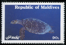 maldives_897.jpg