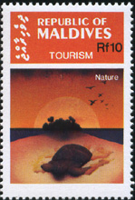 maldives_1030.jpg