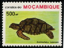 mozambique_1131.jpg