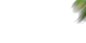 dd2n88.gif