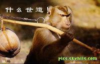 d439e909adef5bd83bc76395.jpg