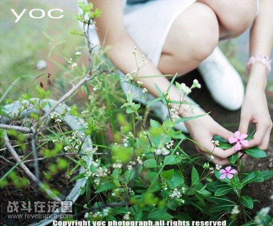 ei080813229.jpg