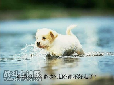 58d93a8fb586bff9f01f3695.jpg