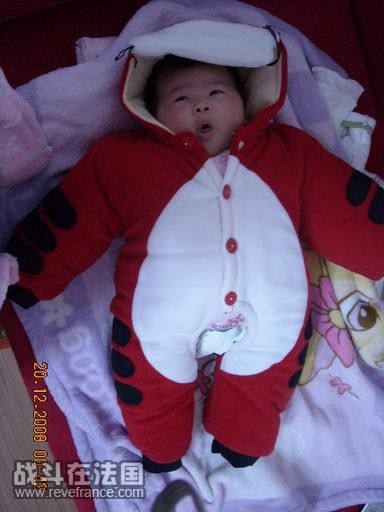 小老鼠变身小老虎