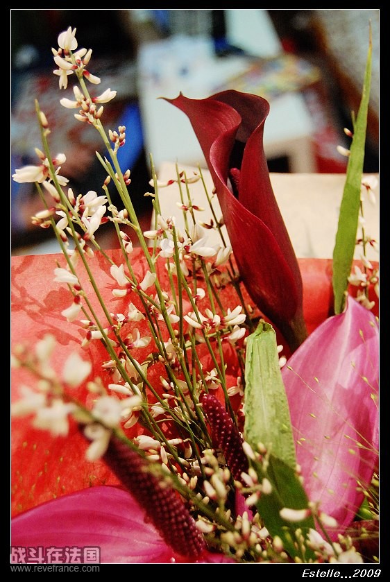 DSC_0422.jpg