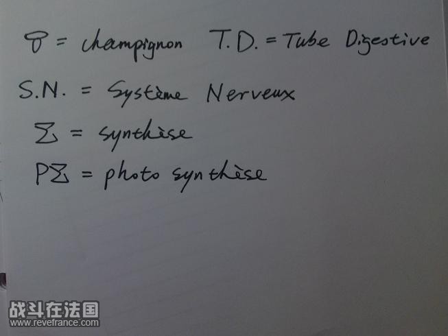 DSC00118.JPG