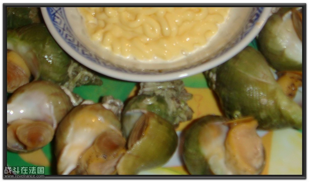 DSC01746_缩小大小.JPG