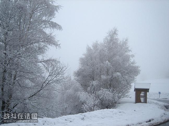 美不胜收的沿途雪景