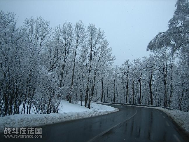 雪林中的路