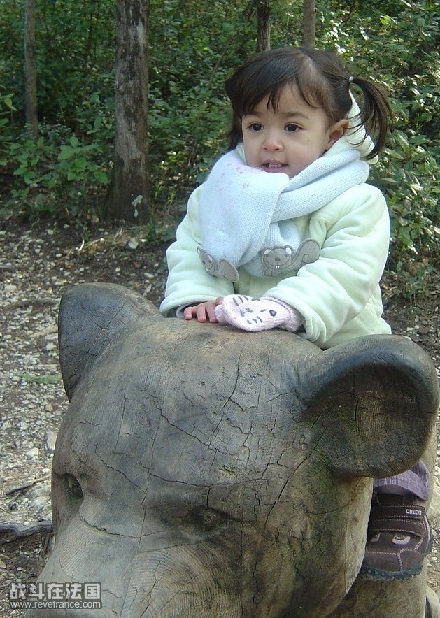 DSC08415.JPG