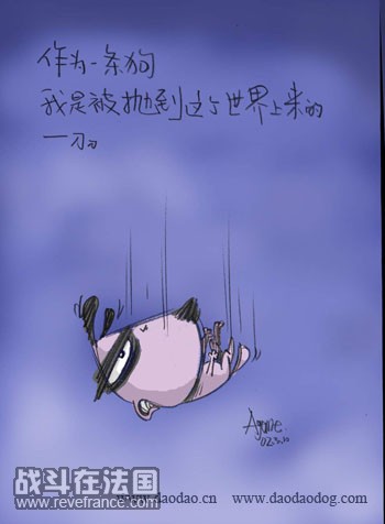 113b26dd270.jpg
