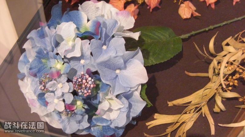 1 (48)_resize.JPG