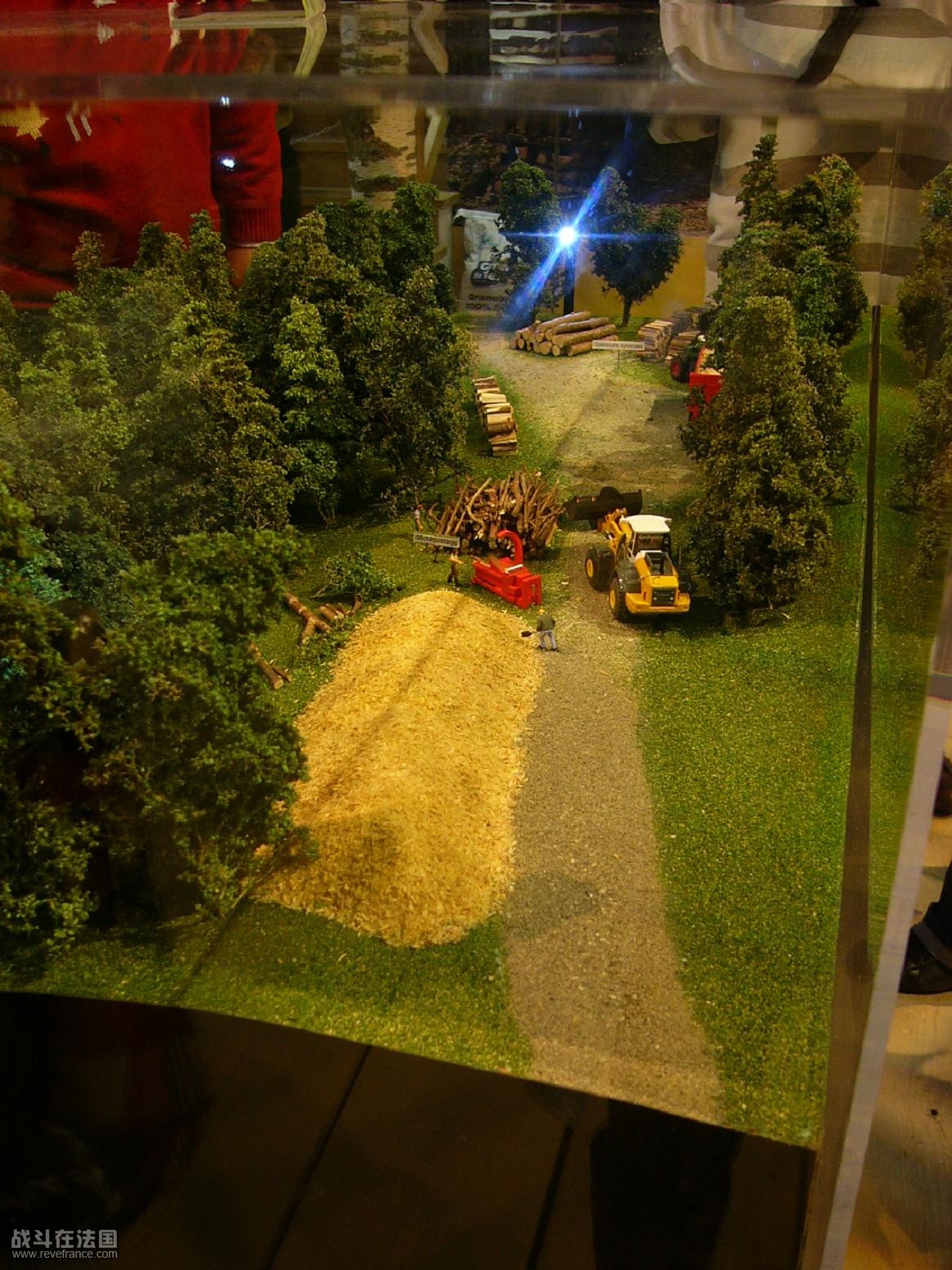 P1030272.JPG