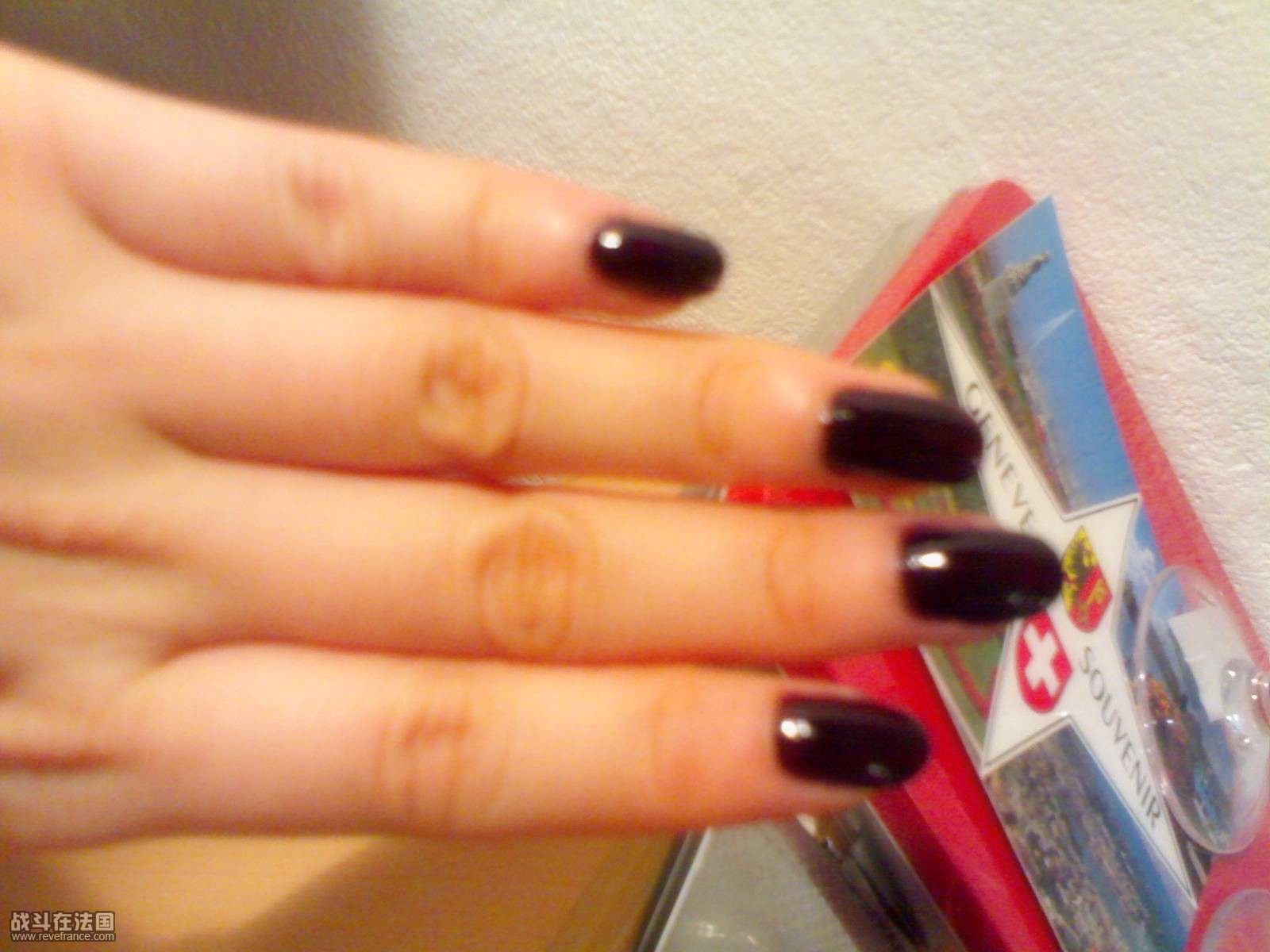 040220091069.jpg