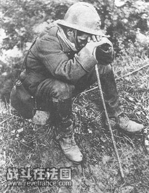 8a.jpg