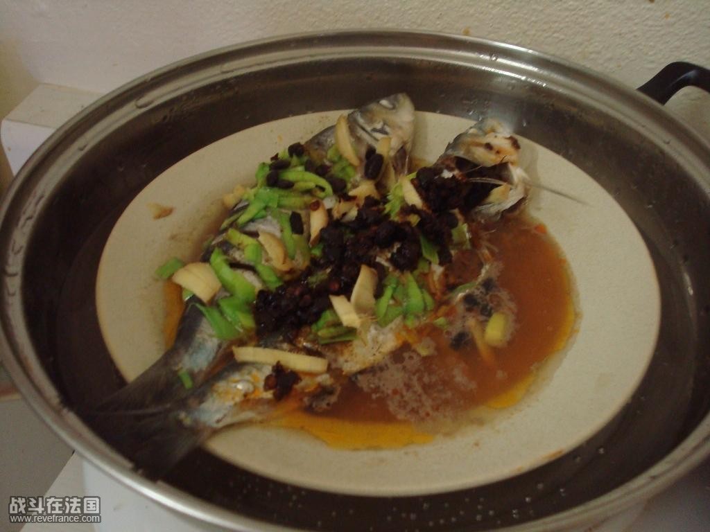 DSC00800.JPG