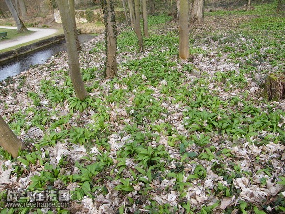 DSCF1744.jpg