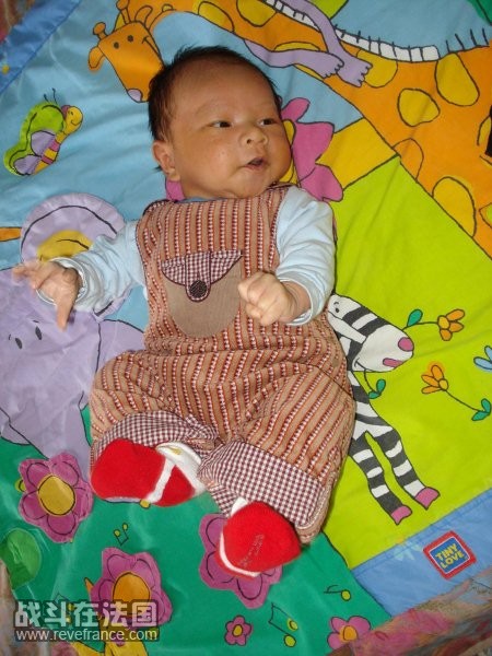 DSC02083.jpg