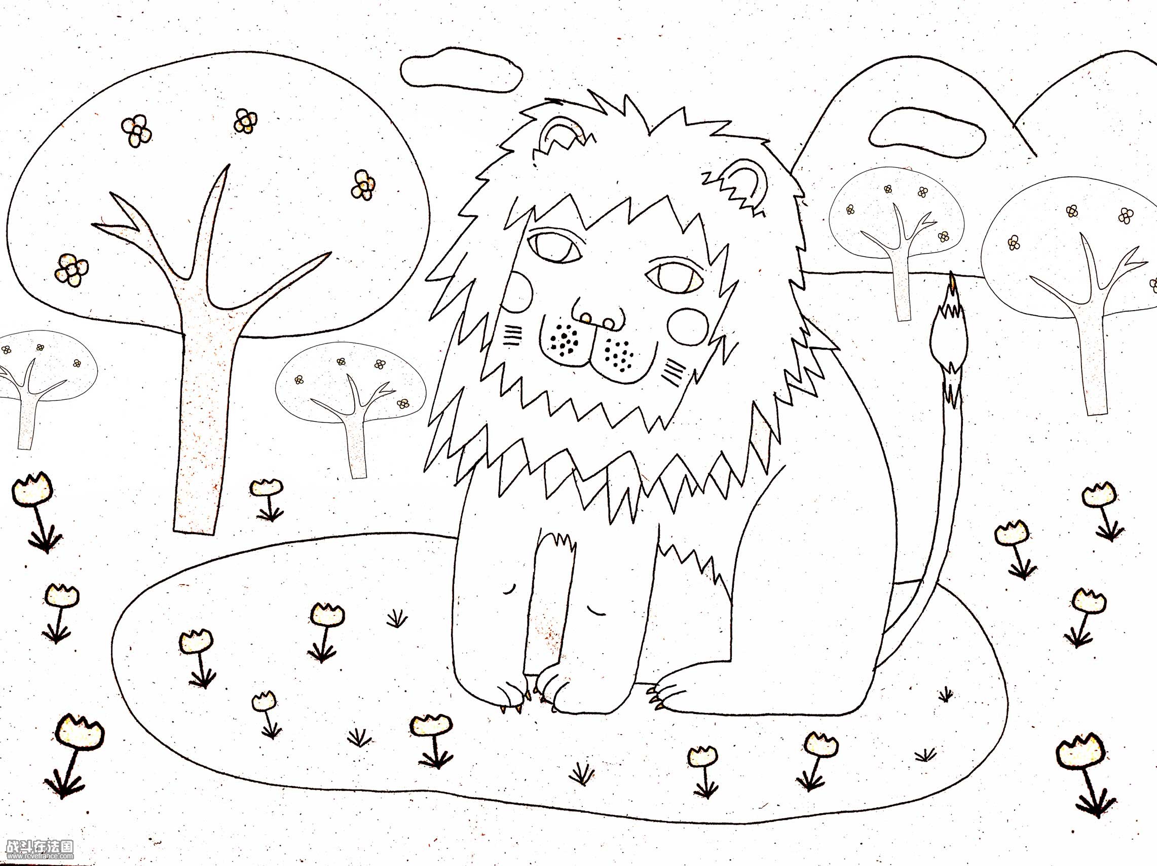 lion001.jpg