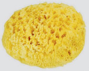 331500-m.jpg