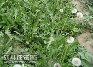 xinsimple_2220404120948495274594.jpg