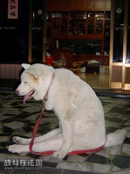 005_10014239_.jpg