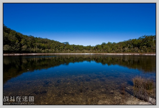 Fraser Island_10.jpg