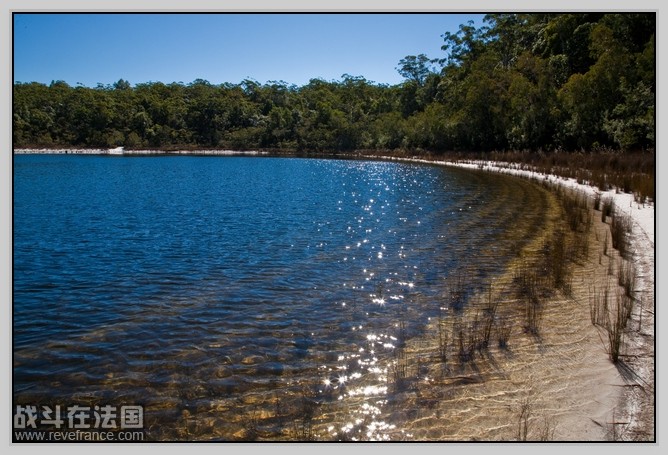 Fraser Island_9.jpg
