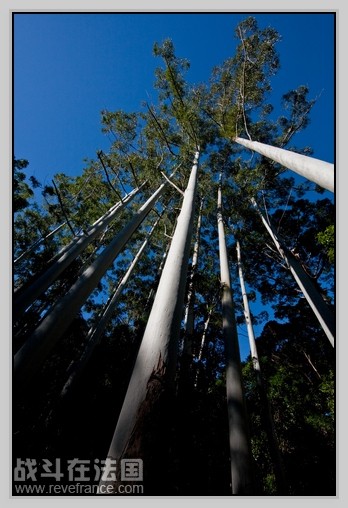 Fraser Island_11.jpg