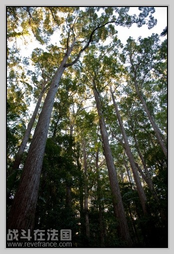 Fraser Island_12.jpg