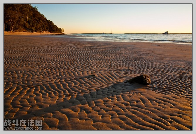 Fraser Island_14.jpg