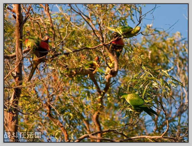 Fraser Island_16.jpg