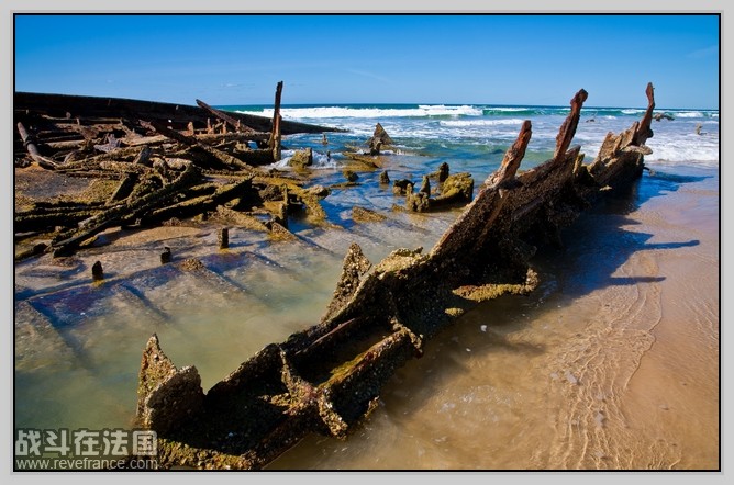Fraser Island_21.jpg