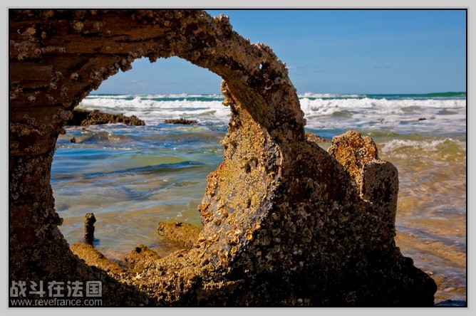 Fraser Island_20.jpg