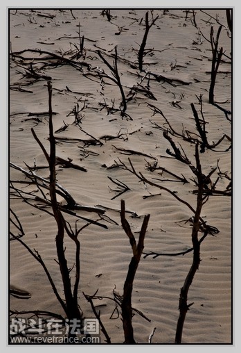 Fraser Island_24.jpg