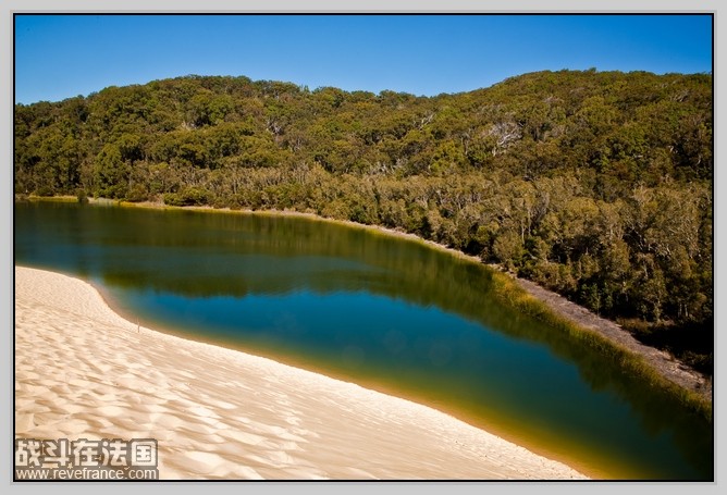 Fraser Island_33.jpg